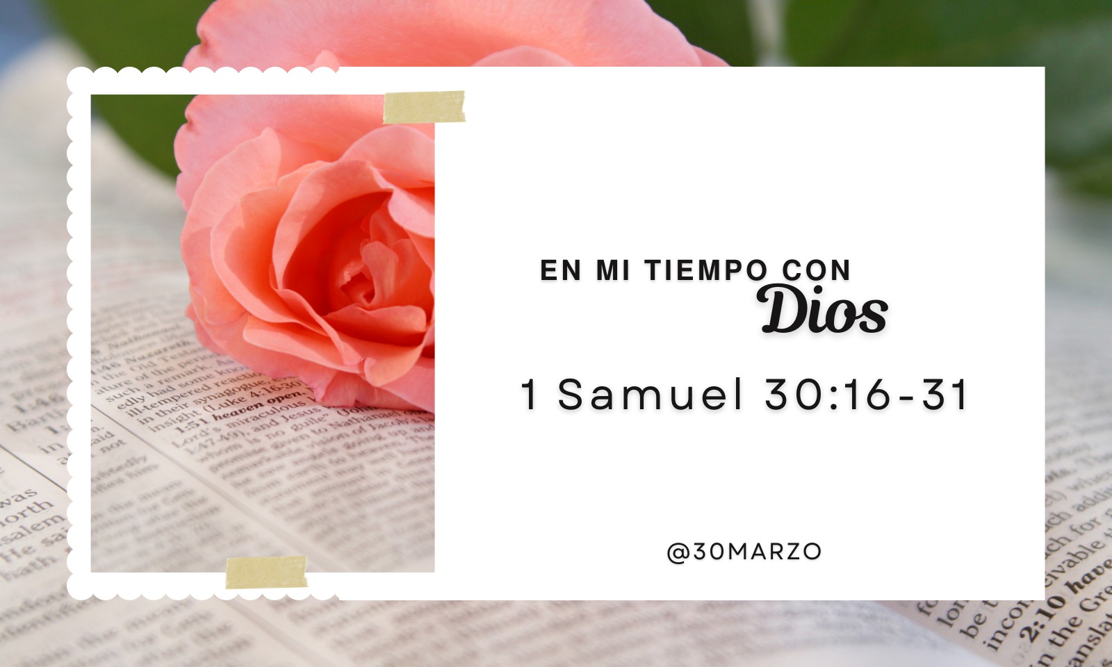 En mi tiempo con Dios de hoy. 1 Samuel 30: 16-31