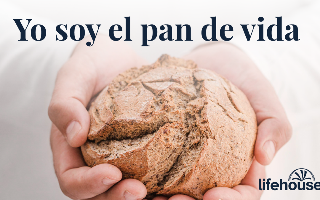 Yo soy el pan de vida