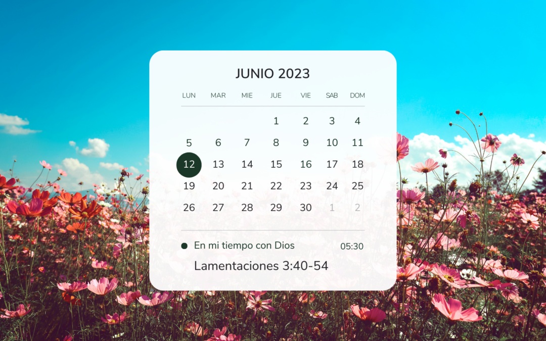 En mi tiempo con Dios de hoy. Lamentaciones 3: 40-54