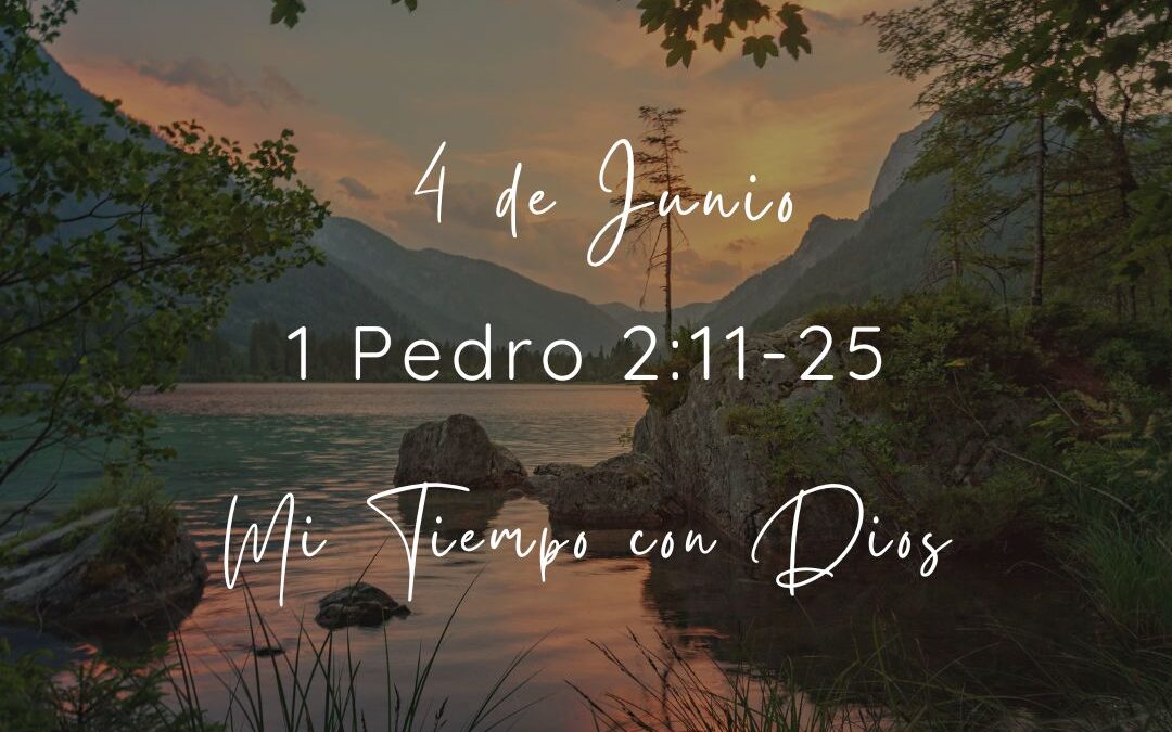 En mi tiempo con Dios de hoy. 1 Pedro 2: 11-25