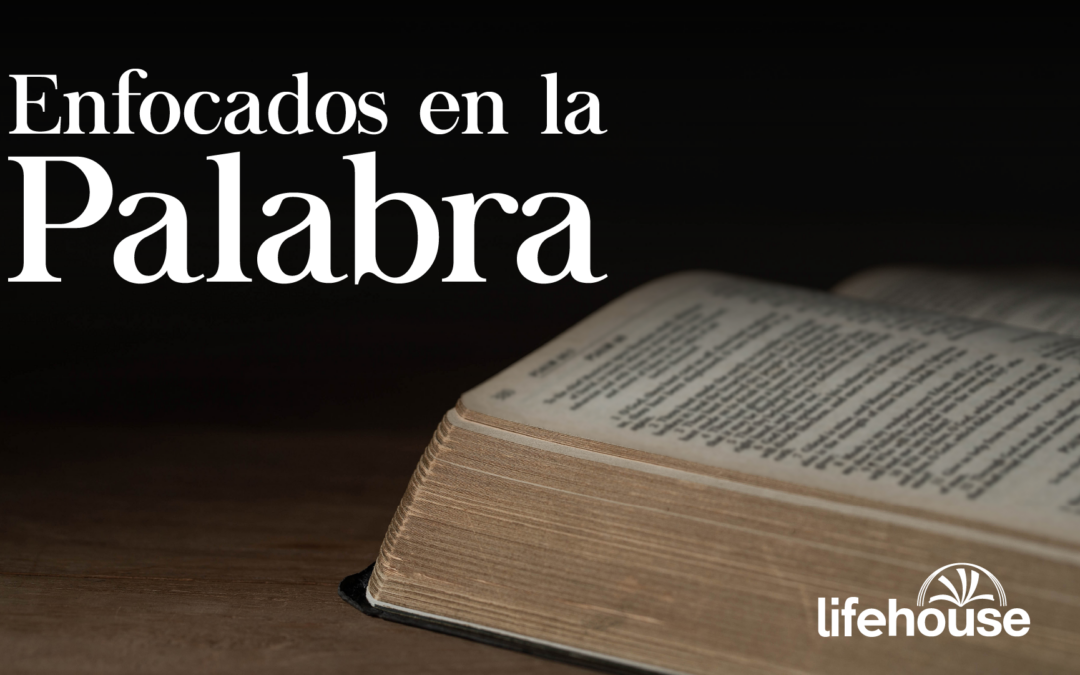 Enfocados en la palabra